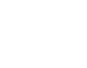 APAC FS Logo- PNG - White Transparent